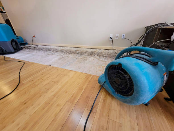 Professional Emergency Water Damage technician working in Whitehouse Station, NJ